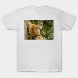 Red Squirrel T-Shirt